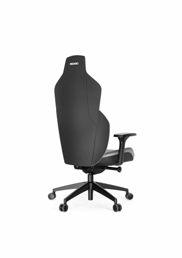 recaro-rae-essential-grey-rueckenansicht-schraeg