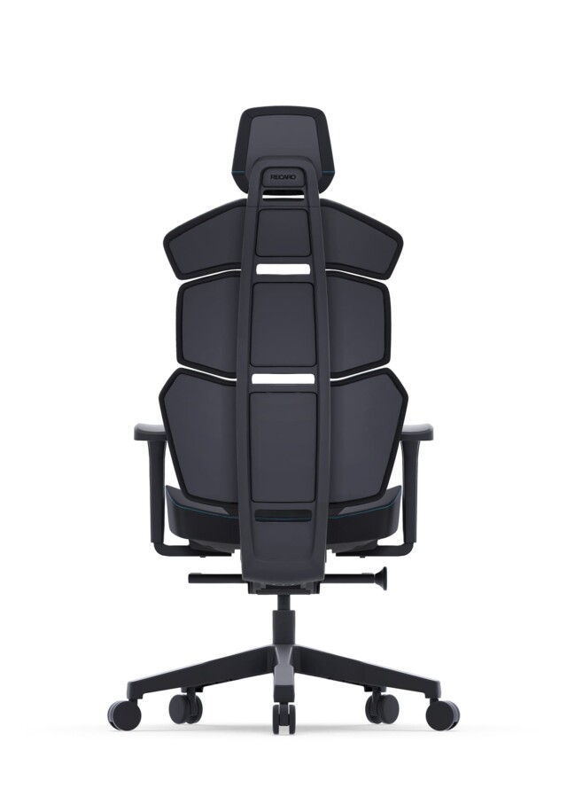 RECARO Nxt Phantom Arctic Back